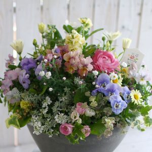 一つの鉢に複数の花や植物を植えることが寄せ植え